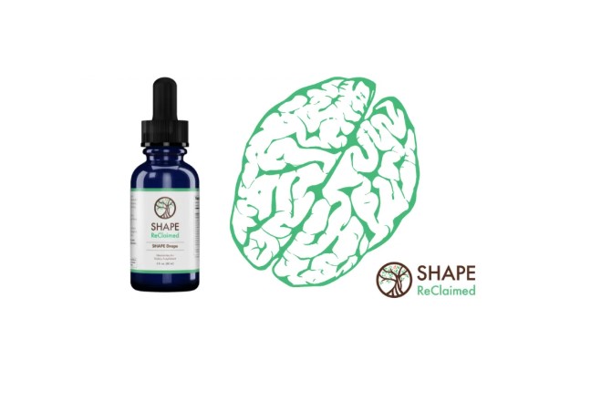 SHAPE Reclaimed Weight Loss Program in Michigan