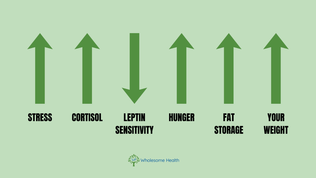 Infographic of stress affect on weight gain. Stress goes up, cortisol goes up, leptin sensitivity goes down, hunger goes up, fat storage goes up, your weight then goes up. 