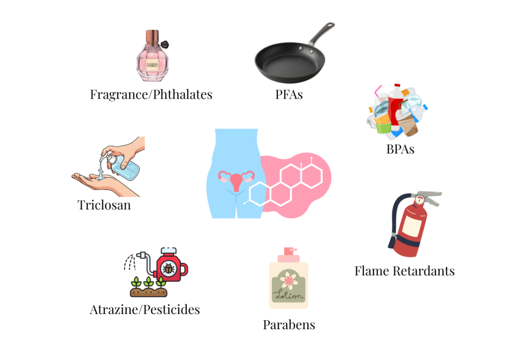 Everyday sources of endocrine disruptors including plastic bottles, skincare products, nonstick cookware, cleaning products, and antibacterial soap.