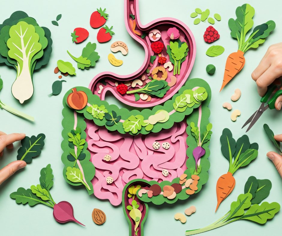Art made out of paper to show the digestive system, filled with veggies, nuts and seeds. 